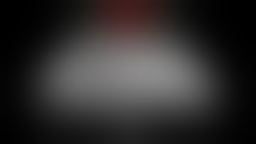 [GAME] Papers, Please. Endless Mode Part 1