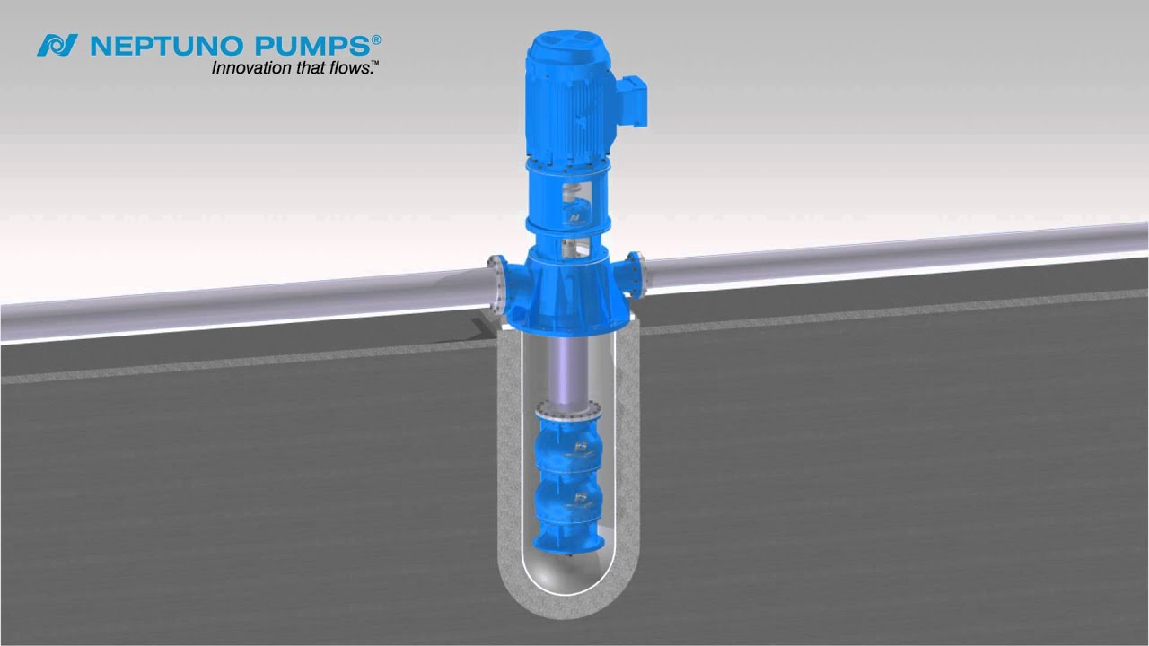 Neptuno Pumps® Vertical Can Type Pump 