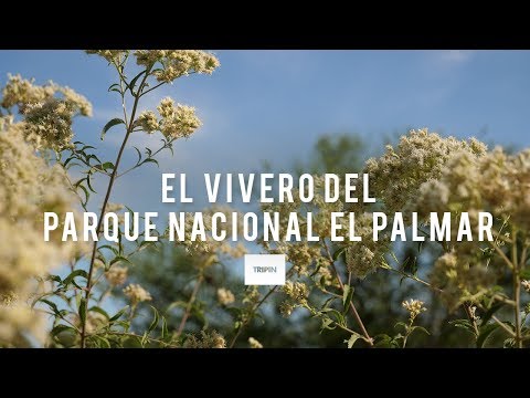 Conociendo el vivero del Parque Nacional El Palmar | Tripin Argentina