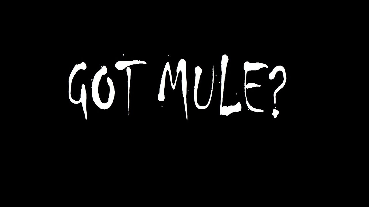 Gov't Mule "Million Miles From Yesterday" @ The NorVa 8/02/08