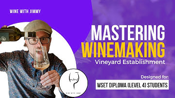 WSET Level 4 (WSET Diploma) Mastering Vineyard Establishment - Introduction and Terroir