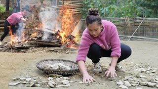 3 Days: Livestock Farm Cleaning Process - Cooking with dogs | Lý Thị Ca