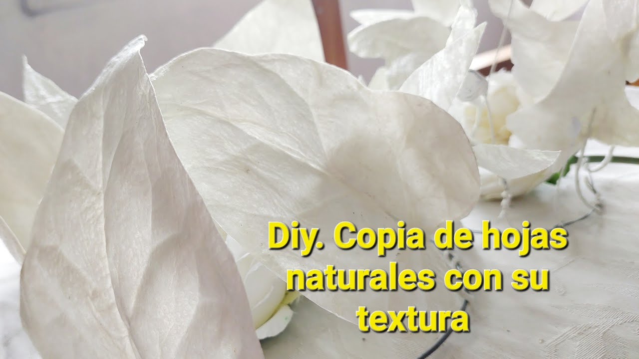 DIY. COMO💡 COPIAR  HOJAS 🍃 NATURALES CON SU TEXTURA FACILES Y ECONÓMICAS.#manualidades #diyhomedecor