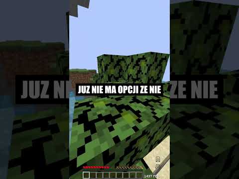 Spróbuj nie zaśpiewać podczas ogladania tego filmu! #shorts #minecraft