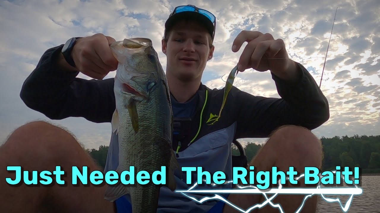 When Bass Fishing, sometimes it just takes the RIGHT BAIT!