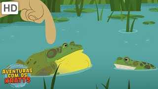 Criaturas semi-aquáticas | Sapos, crocodilos + mais [episódios completos] Aventuras com os Kratts