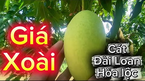 Giá xoài cát hòa lộc , Đài Loan, cát chu ngày 31 tháng 7, 2025