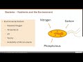 Protozoa, Metazoa, and Building Good Floc