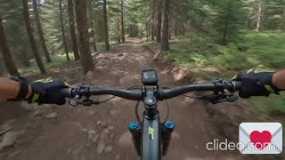 Insane 4K MTB POV: Shredding the Ultimate Forest Trail! 🚵‍♂️💨 #mtb #mountainbike #viralphonk