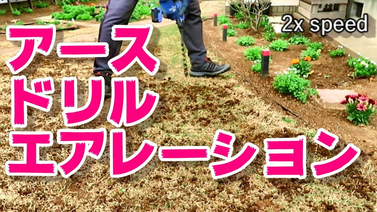 59 アースドリルでティフトン芝生のエアレーション 2週間後の芝は動画66で見られます Youtube 59 アースドリルでティフトン芝生のエアレーション 2週間後の芝は動画66で見られます Youtube