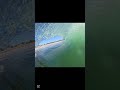 18th February, 2025 #gopro #avoca #beach #bodyboarding #2025 #povsurf #MFDoom #PBW #povsurfing