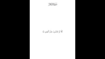 سورة التكاثر — محمد صديق المنشاوي