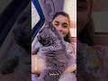 Eisha singh &amp; Reem Sheikh with cute pussy cat🥰🥰💛