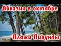 Абхазия в октябре. Где лучше отдохнуть в Пицунде? Пляжи и цены. Пос.Рыбзавод.Бесплатные фрукты.