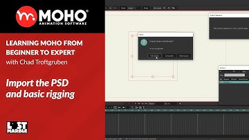 Part 6/38. Import the PSD and basic rigging - Learning Moho from beginner to expert