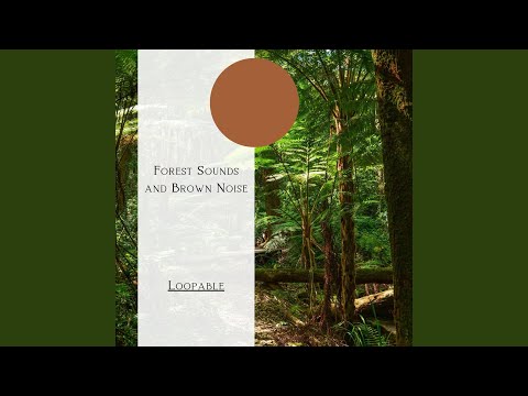 在 YouTube 上觀看「[Loopable] Woodland Bird Drizzle, Brown Noise」