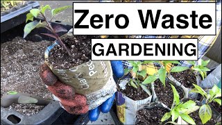 Easy DIY Paper Pots | Zero Waste Gardening | Up Potting Peppers