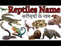 Reptiles Name | Reptiles Name in Hindi and English | Names of Reptiles #reptilesname