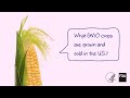 Agricultural Biotechnology: What GMO Crops are Grown and Sold?