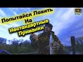 Рыбалка на озере ❗Ловля на спиннинг осенью ❗Спиннербейт ❗