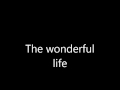 The wonderful life