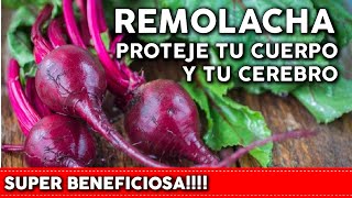 9 Beneficios IMPRESIONANTES de la Remolacha para tu SALUD | Plántala en tu huerta o jardín