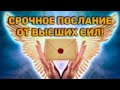 Послания от Высших Сил!То,что Вы Должны Знать Прямо Сейчас!🧚‍♂️💯🌈