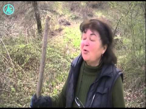 სამშენებლო ნარჩენები ქალაქის ტერიტორიაზე იყრება