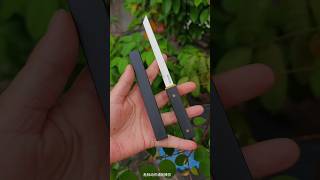 Multi functional fruit #knife recommendation hand knife #knifeskills #knifereview #kitchenknife