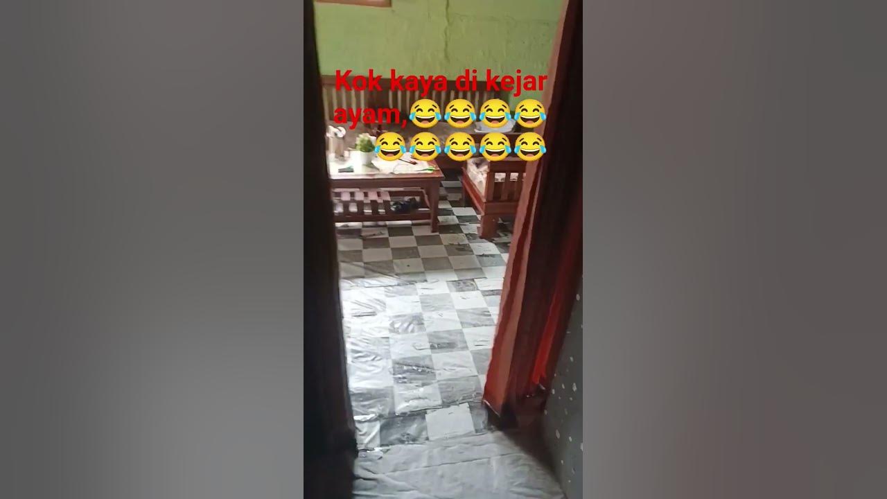 hahaha kaya beneran di kejar ayam🤣🤣🤣 hahaha kaya beneran di kejar ayam🤣🤣🤣