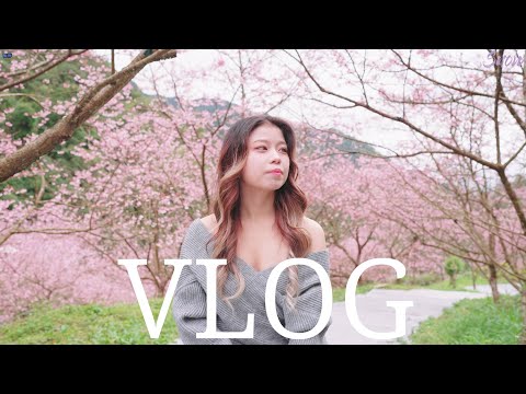 New Taipei City | Cinematic Vlog 三峽櫻花