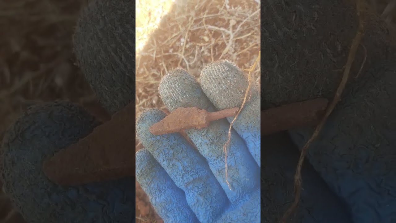 Treasure Hunter Discovers History in Roman Fields With Metal Detector Part 1