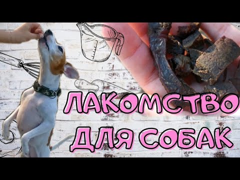 Готовим полезное, натуральное лакомство для собак|Говяжья печень|Выпуск #13