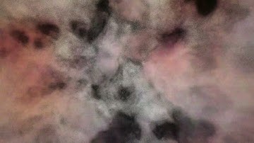 Awaiting: Modulations and Sequences | Subharmonicon + DFAM | Dark Ambient