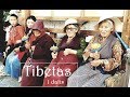Kelion  tibet 1 dalis ia laisvai keliauti draudiama bet patek nesigailsite