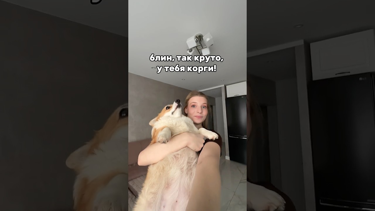 ЧТО ДЕЛАТЬ ПРИ ЛИНЬКЕ У СОБАКИ? 😳 WB: 500356639  - шампунь #линька #корги #собака #шерсть #уборка