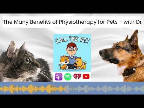 The Many Benefits of Physiotherapy for Pets - with Dr