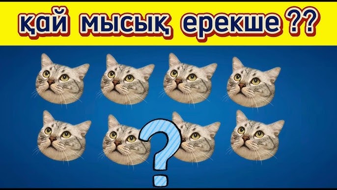 Ғабең жыныстық қатынаста