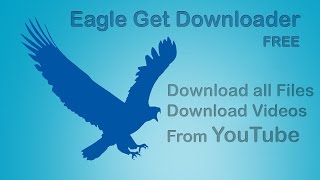 Eagle Get REVIEW full tutorial HOW TO DOWNLOAD VIDEO USING EagleGet