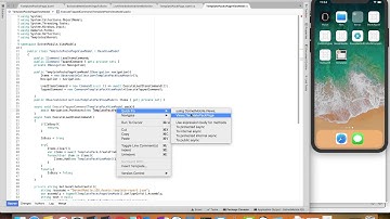 Part 2: Building an iOS app with Visual Studio Mac and Xamarin Forms: dotnet templates app