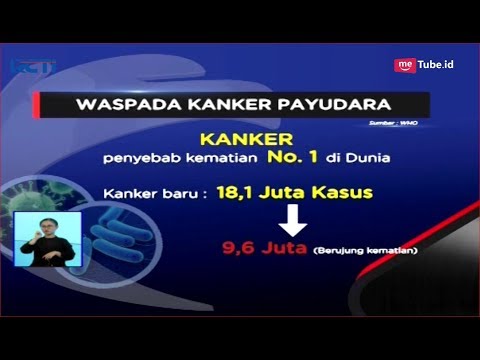 Video: Reseptor Progesteron - Model Hewan Dan Pensinyalan Sel Pada Kanker Payudara: Peran Reseptor Estrogen Dan Progesteron Dalam Perkembangan Payudara Manusia Dan Tumorigenesis