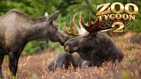 Zoo Tycoon 2: Moose Exhibit Speed Build