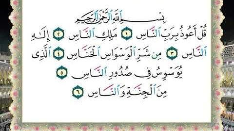 سورة الناس لفضيلة الشيخ سالم عبده سالم