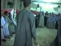 الغريزات الغريزات