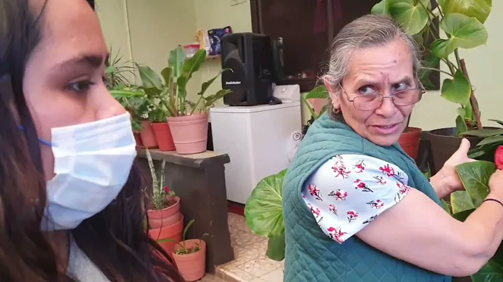 Sra Delia Ponce nos muestra sus plantas!!! algunas...