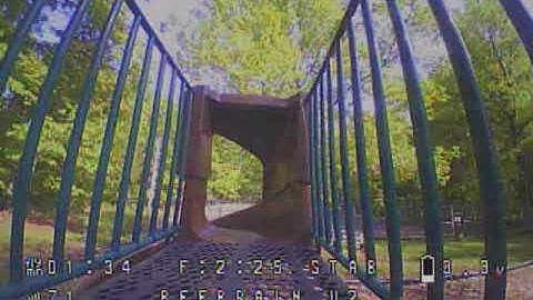 Whoopslide - BeeBrain V2 - AcroBee