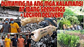 Kalamansi at ibang seedlings dumating na+ Lechon deliveries #186