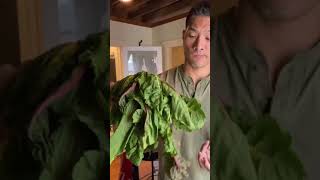 Saving your wilted greens