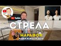 5'nizza - Стрела (Марафон Кавер Каждый День)