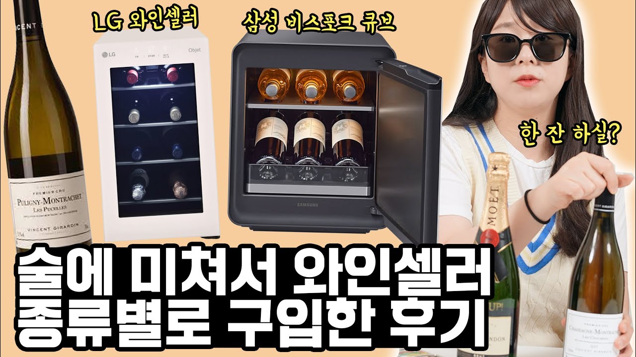 술에 미쳐서... LG 와인셀러 미니, 삼성 비스포크 큐브 냉장고 몽땅 사보고 장단점 알려드림